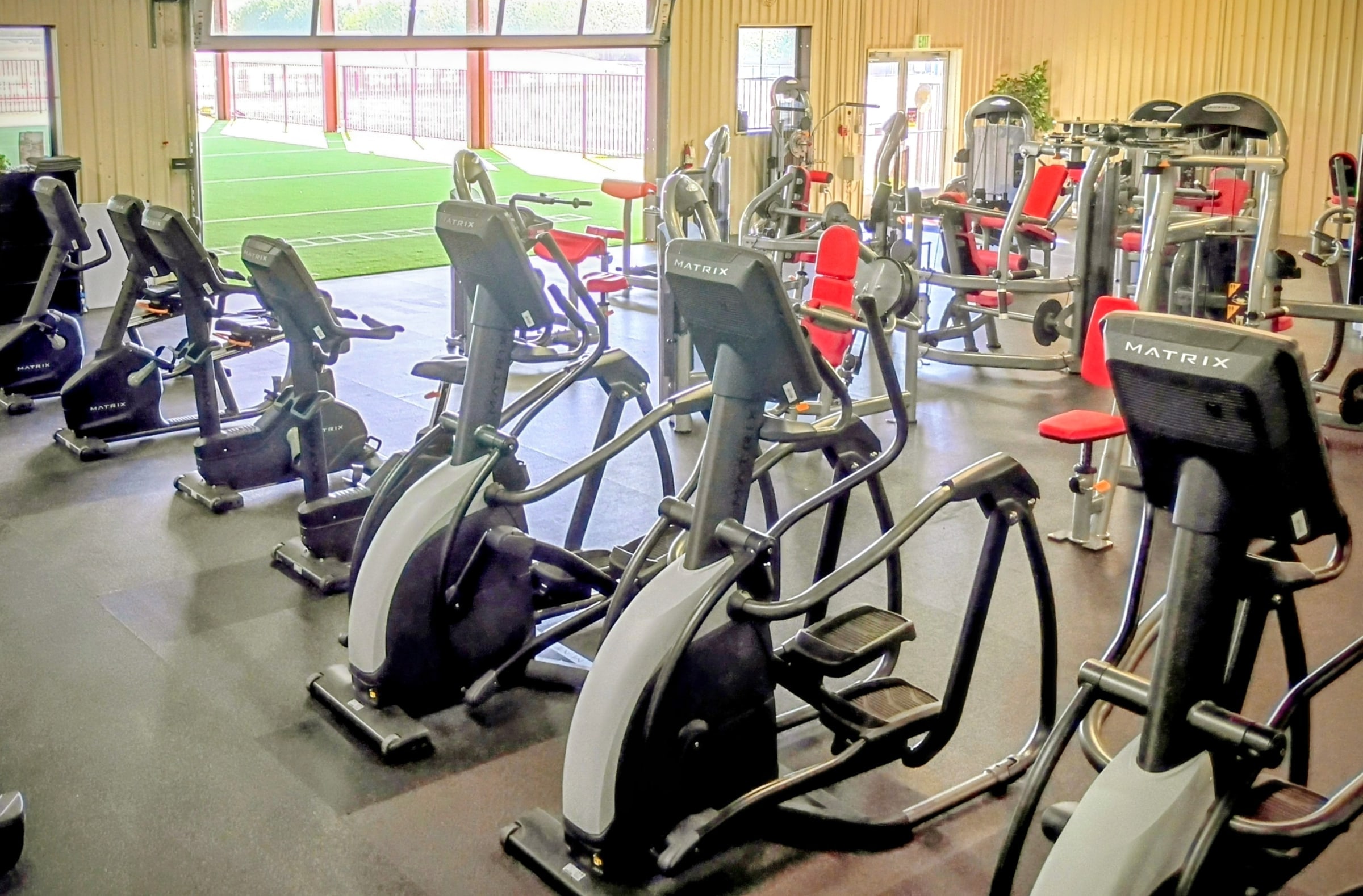Rows of treadmills and elliptical machines in the bright gym at Arizona Fitness